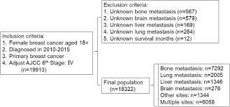 Tiersten doesn't want her patients living in constant fear of metastatic breast cancer either. The Clinicopathological Features And Survival Outcomes Of Patients With Different Metastatic Sites In Stage Iv Breast Cancer Bmc Cancer Full Text