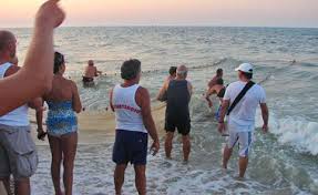 358 likes · 74 talking about this · 14 were here. Marotta Hotelspiaggiadoromarottas Jimdopage