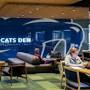 The Cat's Den from studentsuccess.uky.edu