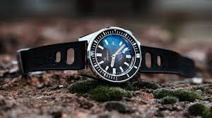Image result for diving watch