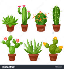 While there are many cactus species, the one we draw today is the tall saguaro cactus, found in sonoran desert. How To Draw Cactus Flower Learn How To Draw