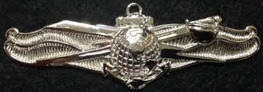 5201 Breast Insignia