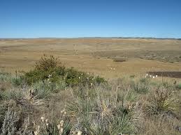 Maybe you would like to learn more about one of these? Little Bighorn Battlefield White Markers Represent Dead Wh Flickr