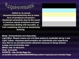 Black And White Flag Meaning Sexuality Pin On Sexuality
