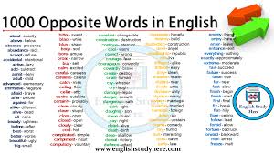 1000 opposite words in english detailed opposite word list