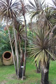 Article Le Jardin Botanique Exotique De Val Rahmeh Jardin Botanique Jardins Botanique