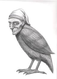 Image result for picture of dodo birds