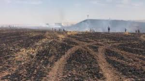 Diyarbakır haberleri ve türkiye'den son dakika gelişmeler ile güncel, ekonomi, sağlık, teknoloji, siyaset, spor, sinema, dünya ve magazin haberlerini yakından takip edin. Yuzlerce Donumluk Arazi Kul Oldu Son Dakika Haberleri