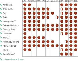 fresh fruit info stemilt trade