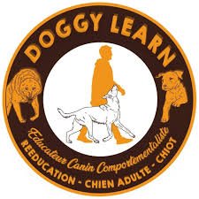 Doggy learn - Éducateur canin comportementaliste Cambrai