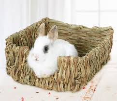 Rabbit Toy Toys Toy Spielzeuge Works Great As A 2020 Goruntuler Ile