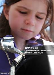 376 Bridget Boston Photos & High Res Pictures