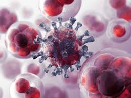 Facts vs myths | the delta variant is spreading in different parts of the world and researchers believe could become the dominant strain in the. Covid Delta Variant Who Says Only One Strain Of Covid Delta Variant Of Concern The Economic Times