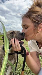 Reward for Information