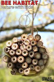 We did not find results for: Build A Bee Hotel Little Bins For Little Hands