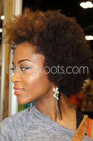 Natural Afro Hairstyles For Black Women To Wear Natural Afro Hairstyles Afro Hair Highlights Afro Hair Care