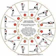 Suriya Namaskara Yoga Routine For Beginners Morning Yoga Morning Yoga Routine