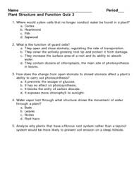 Plants need sunlight and water to live and grow healthy. Plant Structure And Function Quiz 2 By Lisa Michalek Tpt