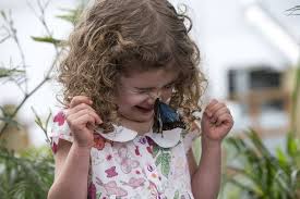 Sights & landmarks in bexley. Things To Know Before Visiting A Butterfly House