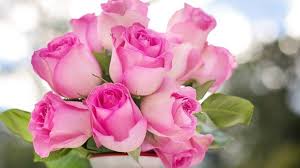 There is nothing better than getting flowers, especially at work (obviously this is a generalization but • use yelp to find a flower shop or florist that offers delivery and is local to the site of your delivery. Mother S Day Weekend In Hamilton To Do Canada