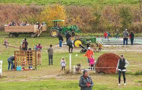 Animals in such zoos are typically gentle, domesticated baby animals like lambs, piglets, chicks, puppies, kittens, ducklings, and bunnies. Pumpkin Patches Petting Zoos Like Bass Family Farms Near Mount Vernon Introduce City Kids To Rural Life The Gazette
