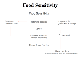 Food Sensitivity Chart According To Lyn Genet The Plan