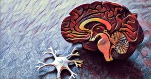 Maybe you would like to learn more about one of these? Priming Puzzles In Escape Rooms Room Escape Artist