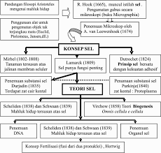 Maybe you would like to learn more about one of these? Http Staffnew Uny Ac Id Upload 132058092 Pendidikan Biofisika Modul 1 Struktur Fungsi Sel Pdf