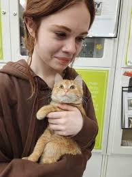 Will my Manx cat have health issues as he gets older?