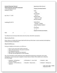 Affidavits, bills of sale, contracts, llc formation, real estate Irs Audit Letter 2205 A Sample 11
