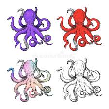 Femke lourenssen (46) uit aartselaar behoort vast en zeker tot die laatste. Kraken Tattoo Stock Illustrations 693 Kraken Tattoo Stock Illustrations Vectors Clipart Dreamstime