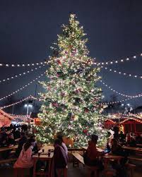 christmas market in zurich switzerland what a beautiful christmas tree festliche weihnachtsbaume