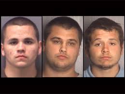 Three allegedly stole golf bags from garage