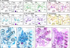 Image result for Potassium Competitive Acid Blocker