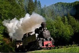 Mocănița este un tren care circulă pe o cale. Oferta 2021 Mocanita De Pe Valea Vaserului Evenimente Divertisment 714608 Piata Az