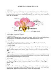 We did not find results for: Bagian Bagian Bunga Sempurna Pdf