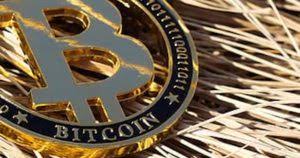 On november 6, the btc rate reached $0.35 on the bitcoin market and $0.5 on mt.gox. Bitcoin Price Prediction Projected Future Value 20 Yrs
