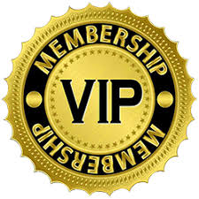 We Launch V I P Membership Where No Bar Of V I P Membership For V I P Membership We Provide Direct Mirror This V I P In 2020 Day Plan Beauty Business Salon Manager