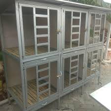 Scopri ricette, idee per la casa, consigli di stile e altre idee da provare. Kandang Ayam Bangkok Ayam Hias Shopee Indonesia