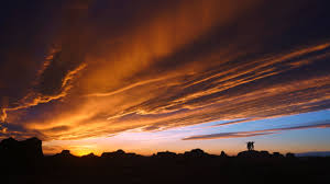 Vector forest, sunset forest, nature, sky, atmosphere, darkness. Sunset Sky Hd Wallpapers Backgrounds