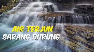 Cara menemukan sarang burung kutilang burung kutilang bisa bersarang disekitar kita sehingga cara membersihkan sarang burung walet ada 2 jenis cara : Menilik Keindahan Air Terjun Sarang Burung Dengan Tingkat Tujuh Yang Menawan Youtube