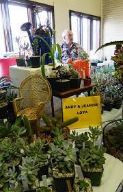 Oc cactus & succulent show 2019! The Bristol Press 2 000 Cactus Enthusiasts Gather For Bristol Show Sale