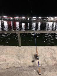 Ia bukan sahaja idaman para pemancing, enak dijadikan juadah malah kaya dengan khasiat yang bagus untuk kesihatan badan. Umpan Ikan Patin Rohu Pacu Tongsan Mekong Umpan Ikan Siakap Jenahak Merah Persia Minyak Udang Greenbait