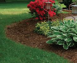 Mulch comes in a variety of colors, textures, and types to customize the look you can achieve. How To Choose The Right Mulch Northeast Nursery