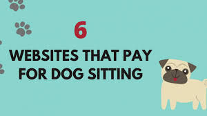 This type of company will focus on pet sitting & dog walking services. Get Paid For Dog Sitting 6 Websites That Pay