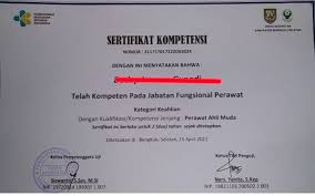 Maybe you would like to learn more about one of these? Diduga Ada Pungli Pelaksanaan Uji Kompetensi Bagi Jabatan Fungsional Bengkulu Selatan Daerah Mitratoday