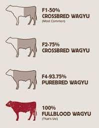 Pin On Wagu Beef Preparation And Benefits Of Wagyu