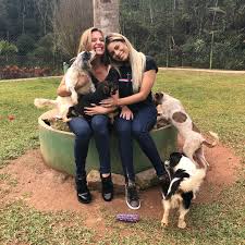 Fundado em fevereiro de 2015, o instituto luisa mell atua principalmente no resgate de animais feridos ou em situação de risco, recuperação e adoção. Lexa Adota Cachorro No Instituto Luisa Mell Meu Novo Filho Jetss