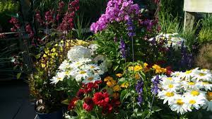 Check spelling or type a new query. Urban Plant Life Dublin S Only City Centre Garden Centre