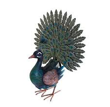 08.06.2021 17:27 uhr ein pfau hat sich auf der terrasse von dorit bodenseh breit gemacht. Pfau Metall Huhner Vogel Feder Deko Garten Tier Figur Skulptur Statue Hahn Huhn Ebay
